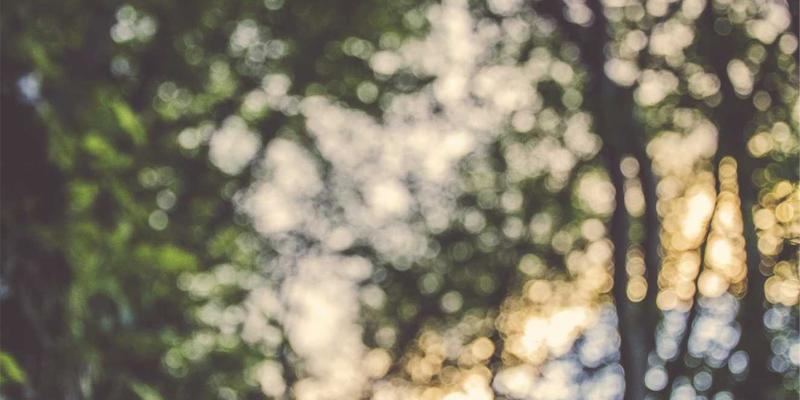 专业级手动工具材质对决：铬钒钢 vs 碳钢在扳手与钳类中的核心差异与应用选择