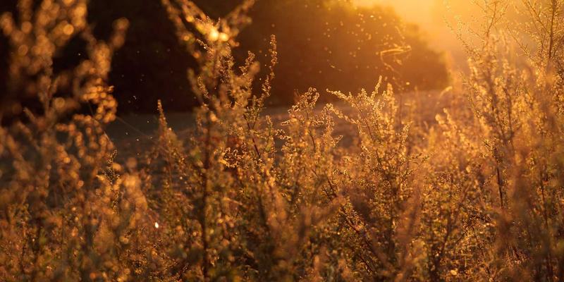 乔工717解读：VDE认证工业级绝缘工具，电气安全作业的硬核保障