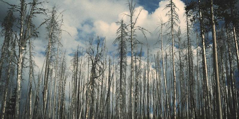 从工具五金到安全设备：工业用品采购的协同升级与风险管控案例分析