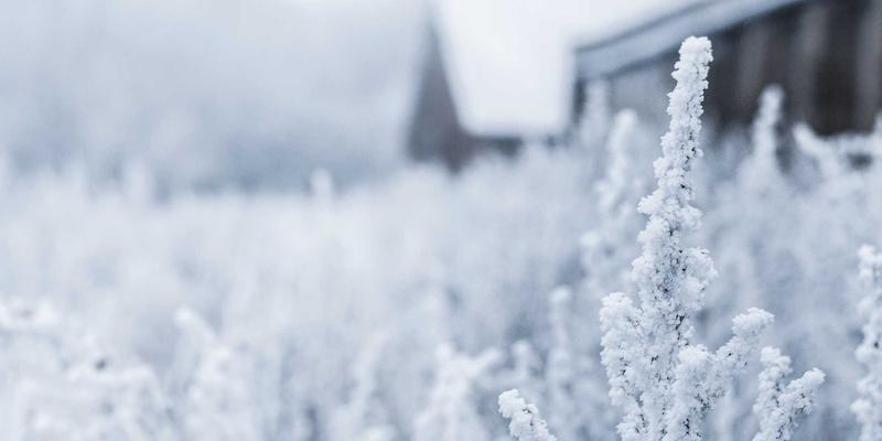 工业用品选购指南：乔工717精密电子维修工具套装深度评测，手机电脑维修从入门到专业