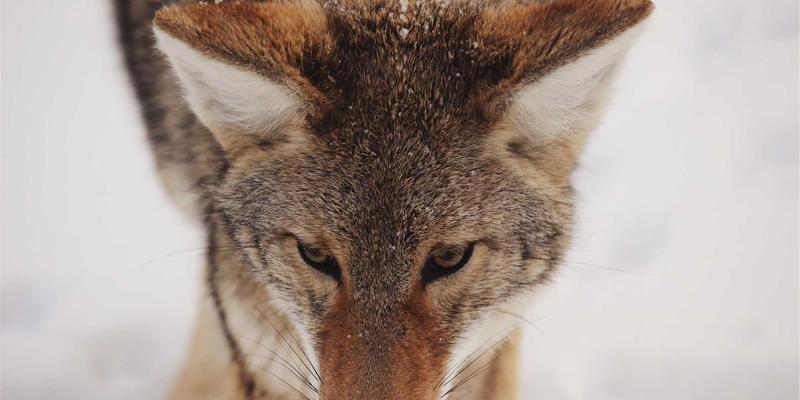 工业耗材、手动工具与安全设备：工具五金跨境电商如何突破国际贸易壁垒