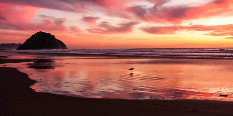 工具五金42时代:电动工具革新与乔工717品牌的专业价值