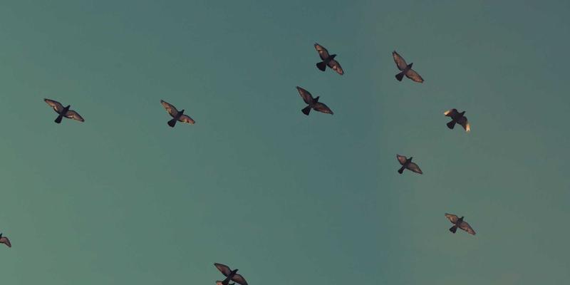 工具五金75：从手动工具到电动工具与工业耗材的全面解析